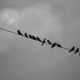 Illustration for article titled Photo Mission Gallery: Black and White